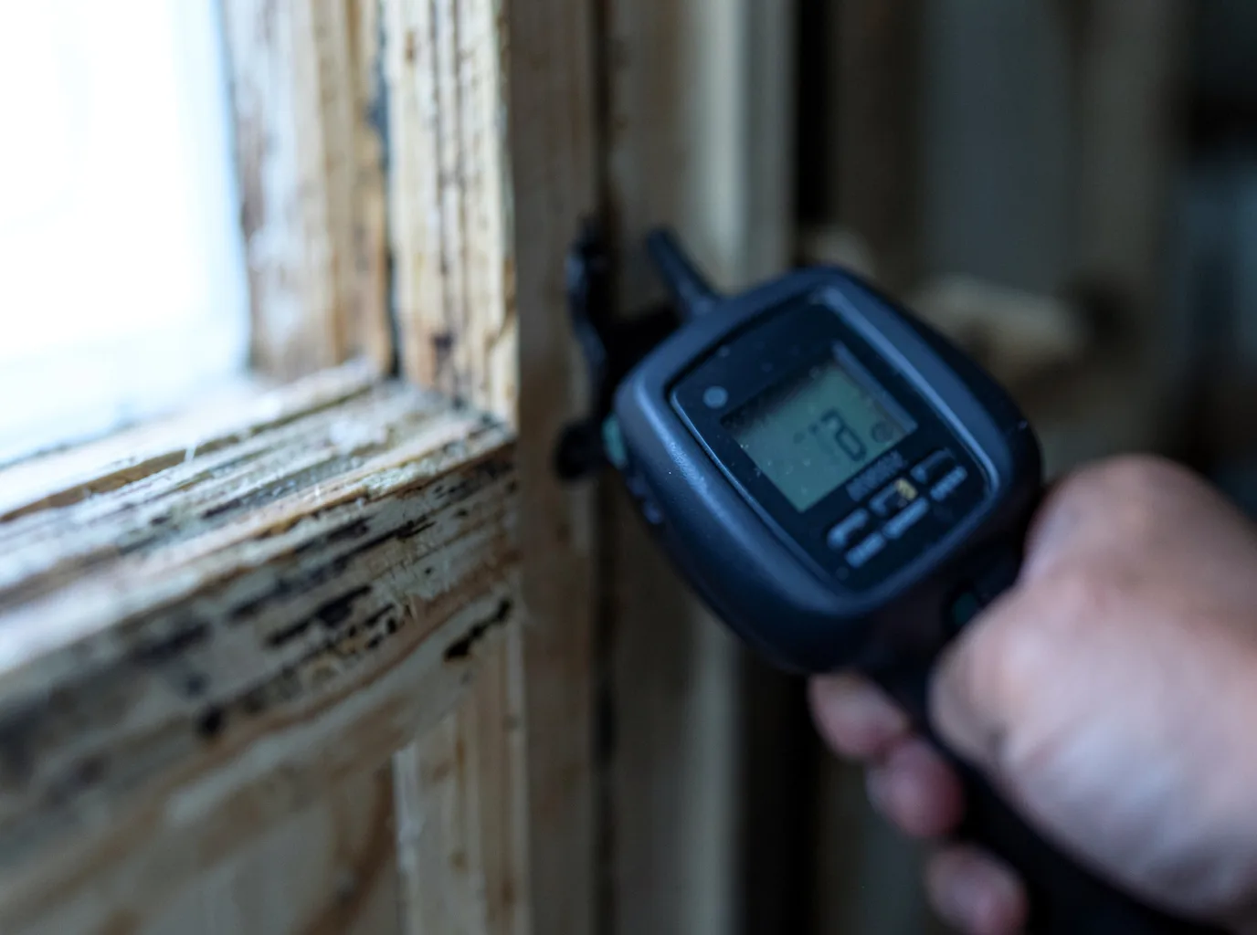 Moisture Inspection And Documentation in Denmark, IA